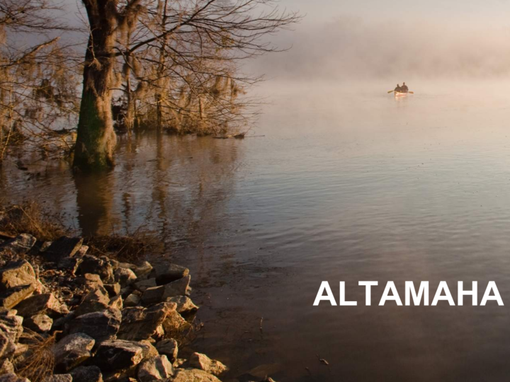 Altamaha Water Planning Region Georgia Water Planning 8678